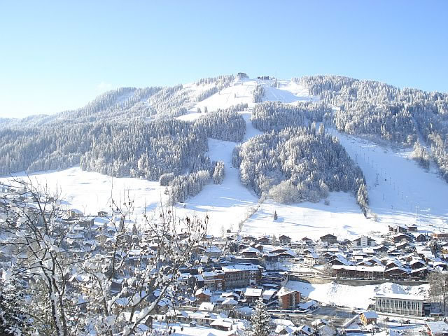 appartement-grand-arnica-morzine-00 4.jpg